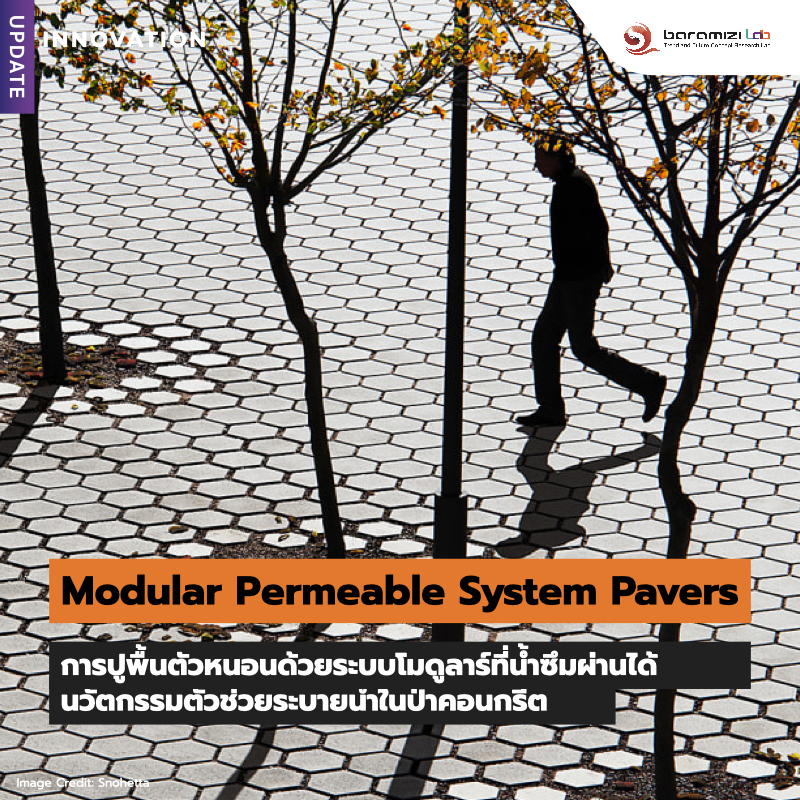 🔎INNOVATION UPDATE  : Modular Permeable System Pavers