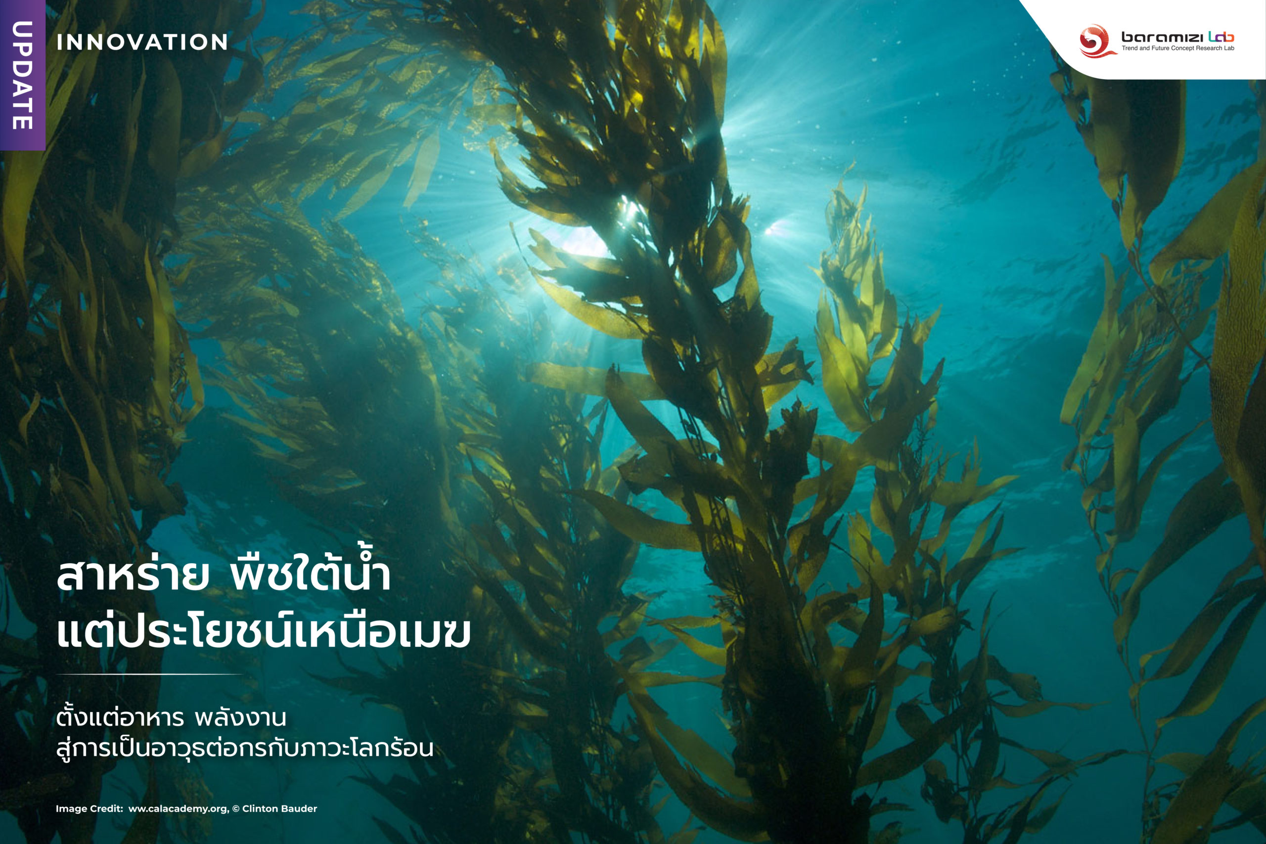 INNOVATION UPDATE : สาหร่าย พืชใต้น้ำแต่ประโยชน์เหนือเมฆตั้งแต่อาหาร พลังงาน สู่การเป็นอาวุธต่อกรกับภาวะโลกร้อน